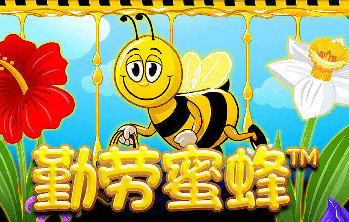 b33体育平台最新版本下载